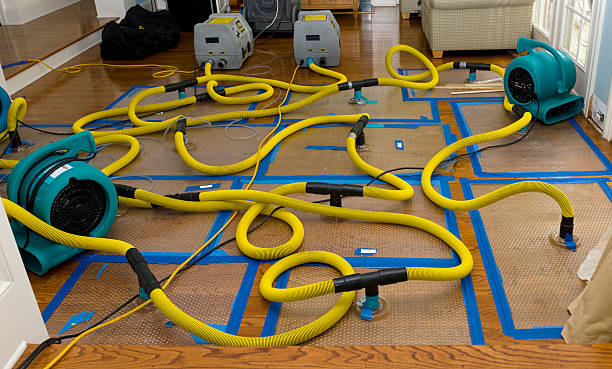 Professional Water Damage Restoration technician working in Volga, SD