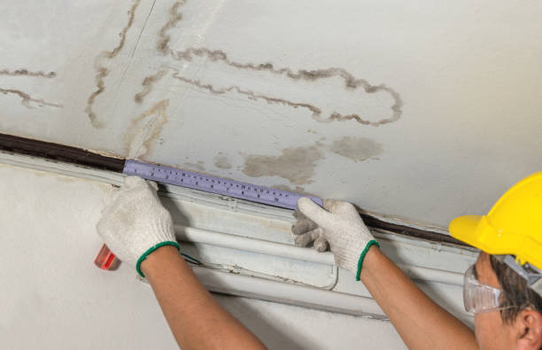 Affordable Water Damage Restoration solutions in Volga, SD